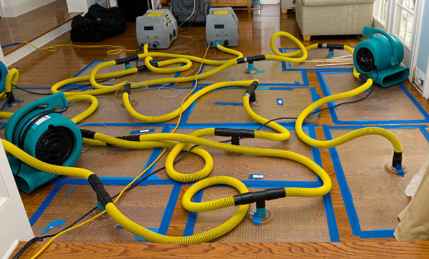 Professional Basement Flood Cleanup technician working in Hayesville, OH